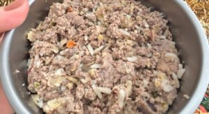 Alimentação natural da Cão Gourmet é melhor que ração?